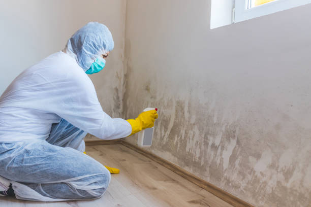Commercial Mold Remediation assessment for commercial property in Clayton